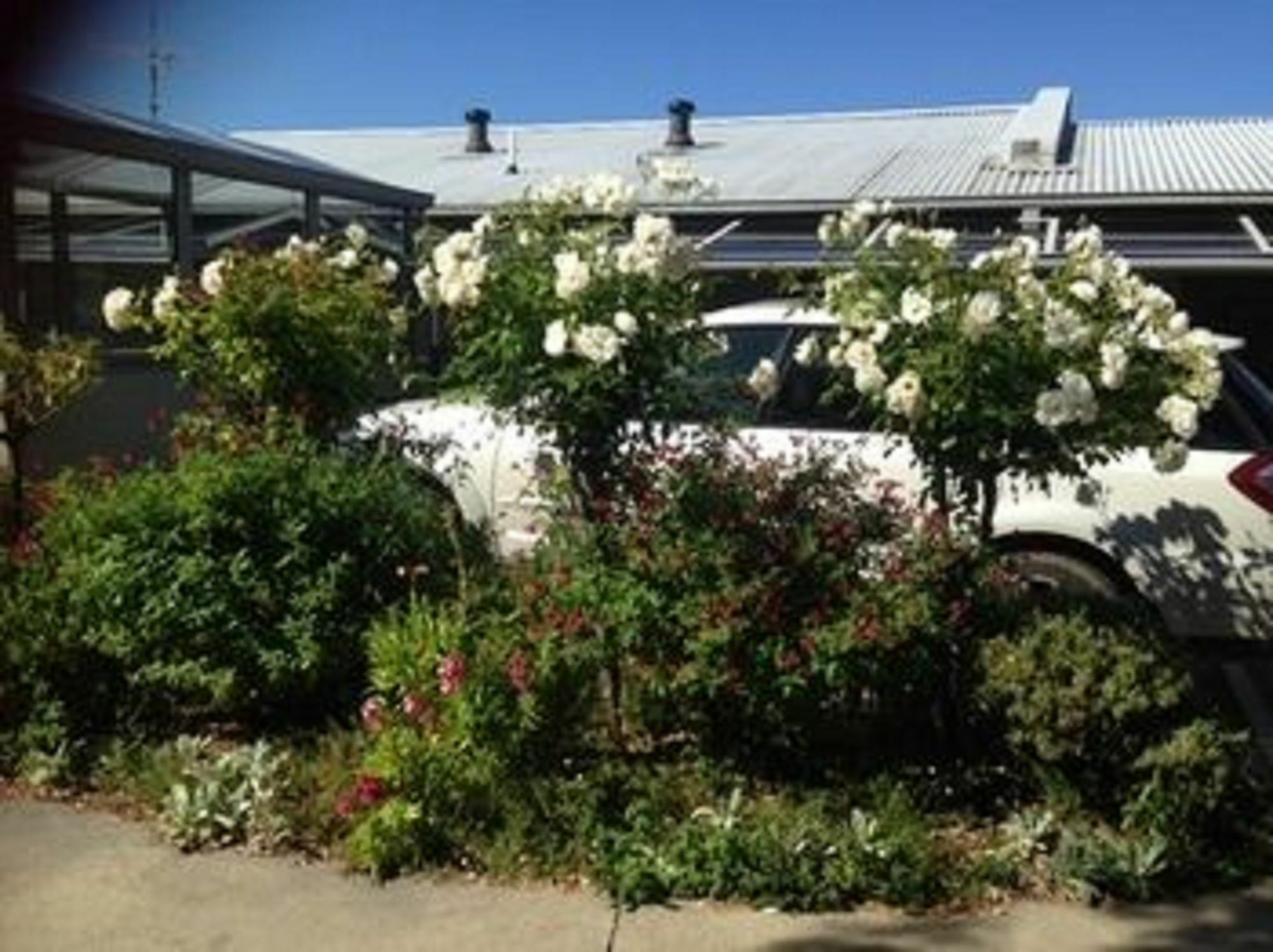 Lorne Bay View Motel Extérieur photo